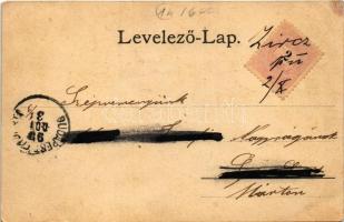 1899 (Vorläufer) Zirc, látkép. Maudausz János kiadása (EB)
