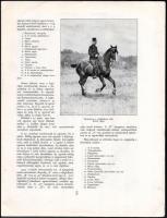1941 Szent György képes sportlap, a Magyar Lovassport Egyesületek Országos Szövetségének és tagegyes...