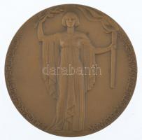 Berán Lajos (1882-1943) 1934. A MAGYAR NEMZETI TÁRSADALOM A MAGYAR MŰVÉSZET LEGJOBBJÁNAK kétoldalas, öntött bronz plakett (70mm) T:1-