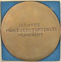 DN "Martyn Klára Díj / Igényes művészettörténeti munkáért" bronz érdemérem tokban (105mm) ...