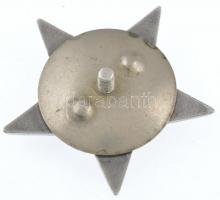 Szovjetunió 1930. "Vörös Csillag Érdemrend" zománcozott, jelzetlen Ag kitüntetés csavaros ...