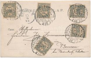 1901 Anina, Stájerlakanina, Stájerlak, Steierdorf; Diretkions Gebäude und ein Theil des Werkes / vas...