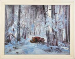 Kóczy jelzéssel: Vaddisznó a téli erdőben. Olaj, vászon, keretben, 47x63 cm