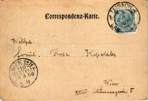 1900 Ljubljana, Laibach; Vor dem Rathause in Laibach / town hall, market. Druck u. Verlag v. Kleinma...