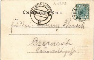 1905 Vatra Dornei, Dornavátra, Bad Dorna-Watra (Bukovina); Kur-Anlagen / spa, bath. Verlag J. Rosner