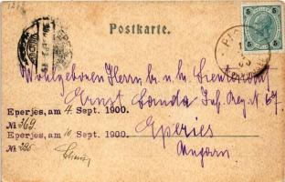 1900 Pichl Auhof am Mondsee, Dampfer Helene / general view, steamship