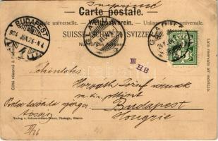 1904 Glarus, Bahnhof Glarus vom Volksgarten aus / railway station, park (EB)