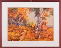 Bereck Károly (-): Őszi táj. Akvarell, papír, jelzett, üvegezett keretben. 29x39 cm