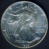 USA 1988. 1$/1oz Ag "Liberty-sas" T:1