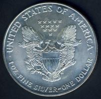 USA 2000. 1$/1oz Ag "Liberty-sas" T:1