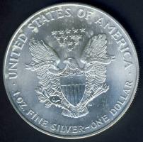 USA 1999. 1$/1oz Ag "Liberty-sas" T:1