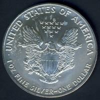 USA 1992. 1$/1oz Ag "Liberty-sas" T:1