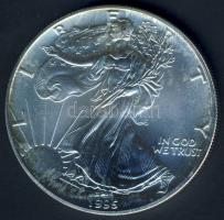 USA 1995. 1$/1oz Ag "Liberty-sas" T:1