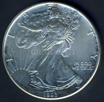 USA 1993. 1$/1oz Ag "Liberty-sas" T:1