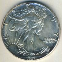 USA 1987. 1$/1oz Ag "Liberty-sas" T:1