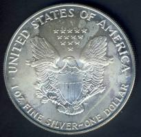USA 1991. 1$/1oz Ag "Liberty-sas" T:1
