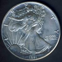 USA 1991. 1$/1oz Ag "Liberty-sas" T:1