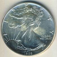 USA 1989. 1$/1oz Ag "Liberty-sas" T:1