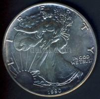 USA 1990. 1$/1oz Ag "Liberty-sas" T:1