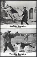 cca 1964 ,,Muhtár, hozzám című szovjet film jelenetei és szereplői (a főszereplő egy jól kiképzett rendőrkutya), 9 db vintage produkciós filmfotó, ezüst zselatinos fotópapíron, a használatból eredő (esetleges) kisebb hibákkal, 18x24 cm
