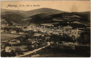 1914 Aspang, general view (fl)