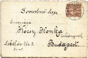 1901 Kézzel rajzolt művészlap virágokkal / hand-drawn art postcard with flowers (EK)