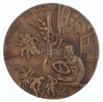 Lajos József (1936-) DN Ifjúsági Nívódíj egyoldalas, öntött bronz plakett (98mm) T:1-