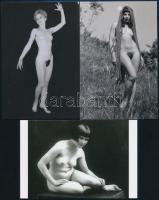 cca 1952 és 1976 között készült, szolidan erotikus felvételek, 5 db mai nagyítás többféle hagyatékból, 15x10 cm