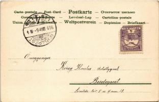 1901 Winkler & Schorn "Mondschein"-Postkarte Serie XVII. litho (EK)