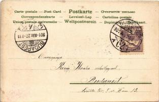 1901 Winkler & Schorn "Mondschein"-Postkarte Serie XVII. litho (EK)