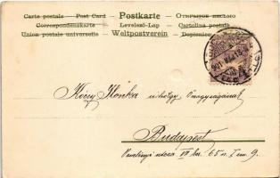 1901 Winkler & Schorn "Sonnenschein"-Postkarte Serie XVIII. litho (EK)