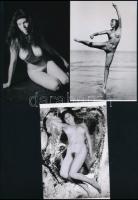 cca 1958 és 1981 között készült, szolidan erotikus felvételek, 5 db mai nagyítás többféle hagyatékból, 15x10 cm