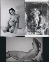 cca 1932 és 1988 között készült, szolidan erotikus felvételek, 5 db mai nagyítás többféle hagyatékból, 15x10 cm