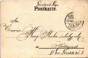 1899 (Vorläufer) Rose. litho (Rb)