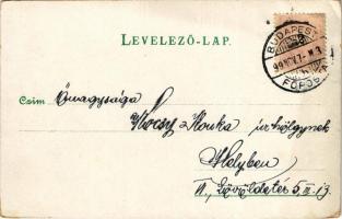 1899 (Vorläufer) Flowers. litho (EK)