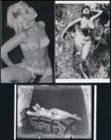 cca 1950 és 1970 között készült, szolidan erotikus felvételek, 5 db mai nagyítás többféle hagyatékból, 15x10 cm
