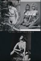cca 1960 és 1980 között készült, szolidan erotikus felvételek, 5 db mai nagyítás többféle hagyatékból, 15x10 cm