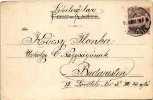 1900 Flowers. Farbenlichtdruck von Martin Rommel & Co. (EK)