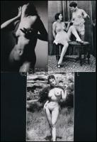 cca 1930 és 1960 között készült, szolidan erotikus felvételek, 5 db mai nagyítás többféle hagyatékból, 15x10 cm