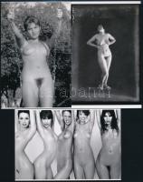 cca 1920 és 1989 között készült, szolidan erotikus felvételek, 5 db mai nagyítás többféle hagyatékból, 15x10 cm
