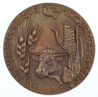 Lajos József (1936-) DN "25 év a szocialista mezőgazdaságért" egyoldalas, öntött bronz plakett (91mm) T:1-