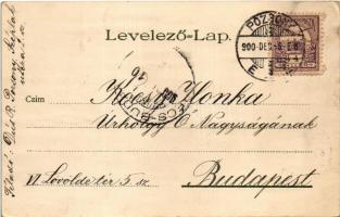 1900 Flowers. litho (EK)