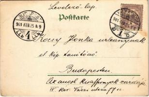 1901 Flowers. litho (EB)