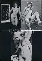 cca 1910 és 1980 között készült, szolidan erotikus felvételek, 5 db mai nagyítás többféle hagyatékból, 15x10 cm