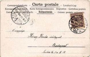 1901 Flowers with bells. litho (EM)