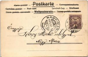 1901 Flowers. litho (fl)