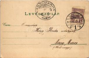 1901 Flowers. litho (EK)