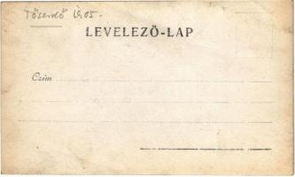 1905 Tőserdő (Tiszaalpár); Szőllős-Berek villa. photo (fa)