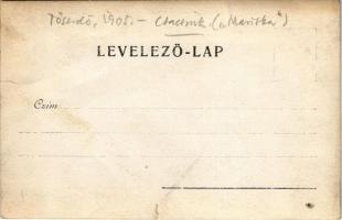 1905 Tőserdő (Tiszaalpár); Mariska a szamár. photo (szakadás / tear)