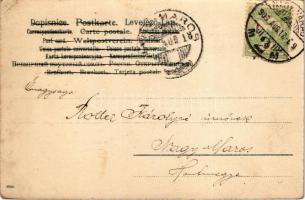 1903 Lady art postcard, romantic couple (EK)